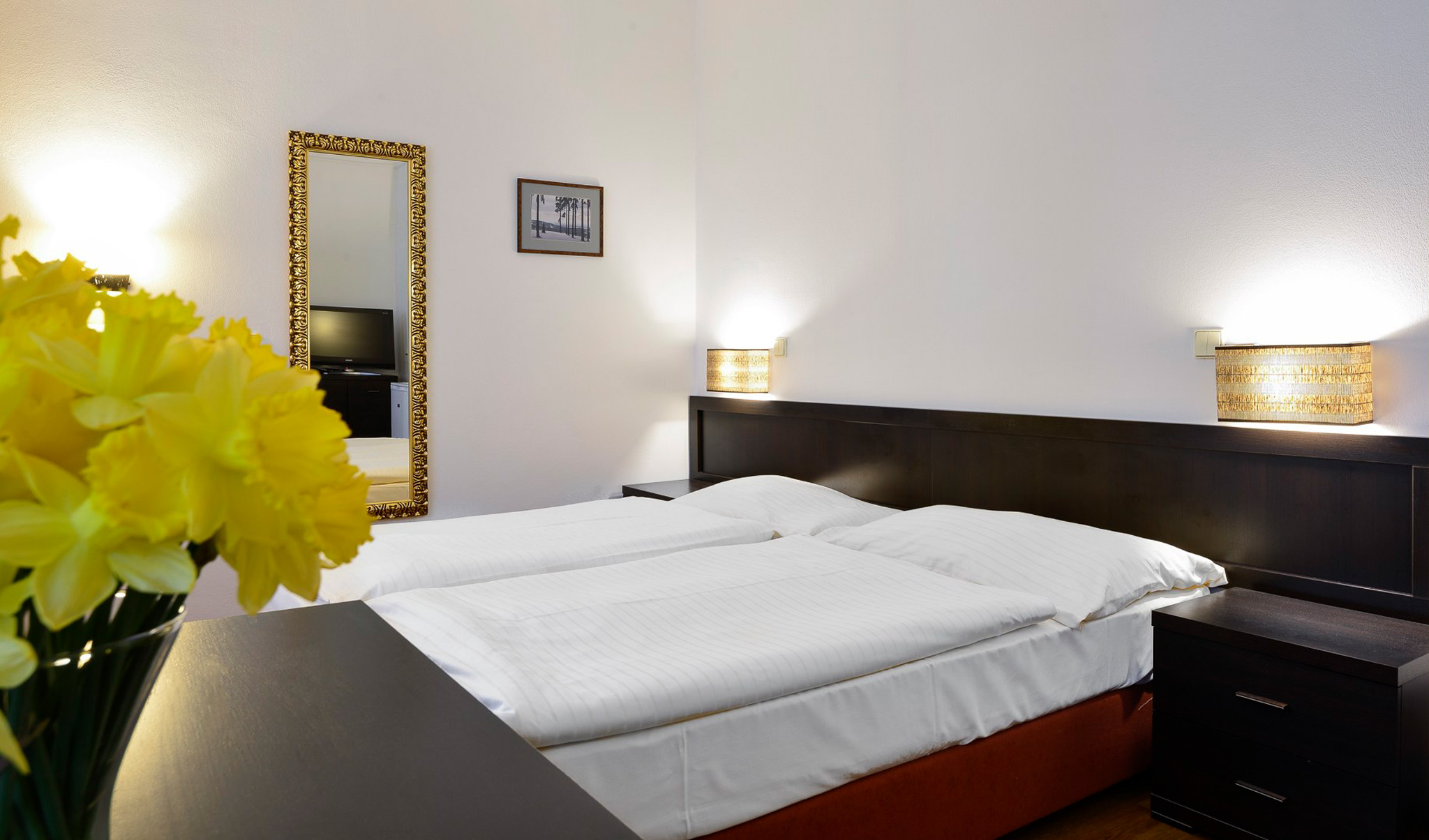 Základní informace